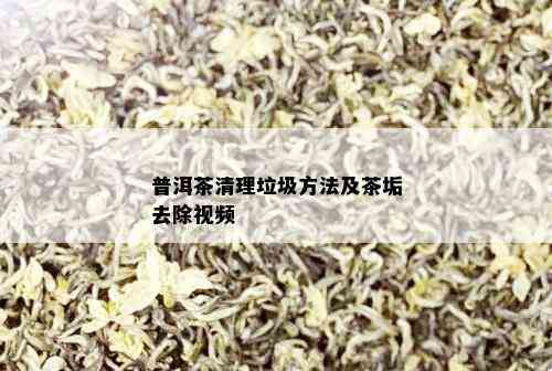 普洱茶清理垃圾方法及茶垢去除视频