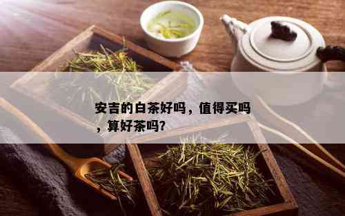 安吉的白茶好吗，值得买吗，算好茶吗？