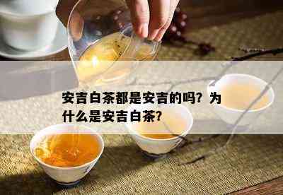 安吉白茶都是安吉的吗？为什么是安吉白茶？