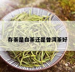 存茶是白茶还是普洱茶好