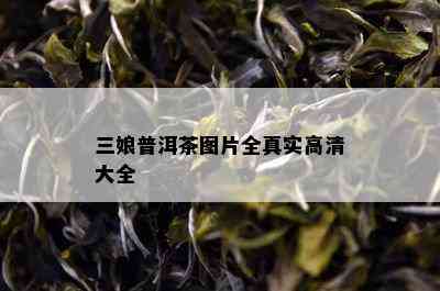 三娘普洱茶图片全真实高清大全