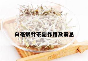 白毫银针茶副作用及禁忌