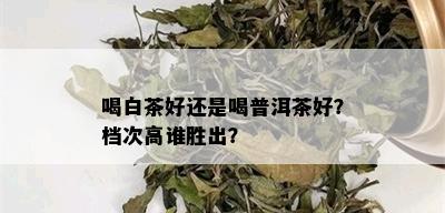 喝白茶好还是喝普洱茶好？档次高谁胜出？