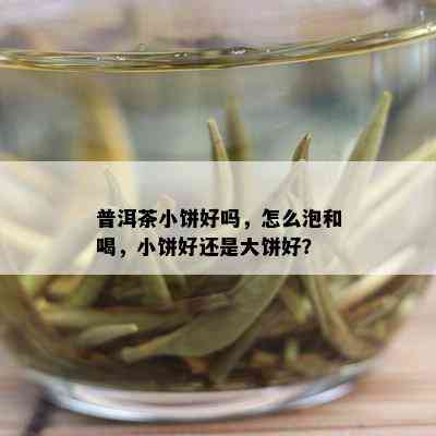 普洱茶小饼好吗，怎么泡和喝，小饼好还是大饼好？