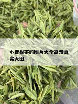 小青柑茶的图片大全高 *** 实大图