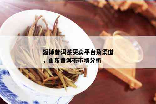 淄博普洱茶买卖平台及渠道，山东普洱茶市场分析