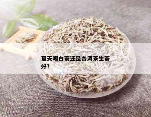 夏天喝白茶还是普洱茶生茶好？