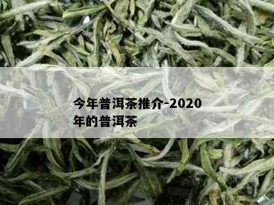 今年普洱茶推介-2020年的普洱茶