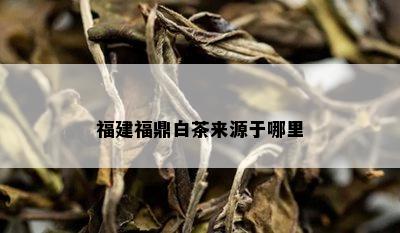 福建福鼎白茶来源于哪里