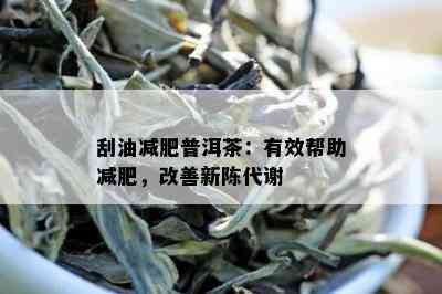 刮油减肥普洱茶：有效帮助减肥，改善新陈代谢