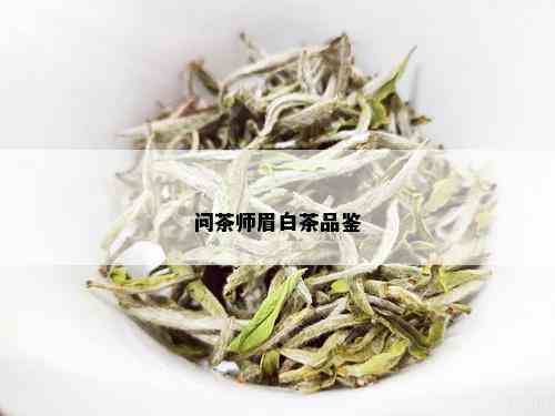 问茶师眉白茶品鉴