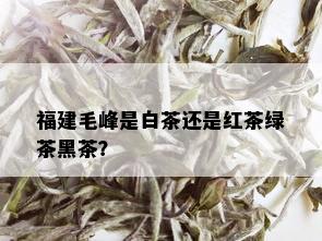 福建毛峰是白茶还是红茶绿茶黑茶？