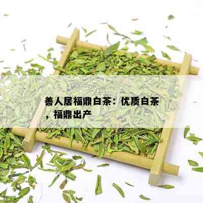 善人居福鼎白茶：优质白茶，福鼎出产