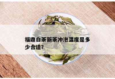 福鼎白茶新茶冲泡温度是多少合适？