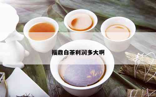 福鼎白茶利润多大啊