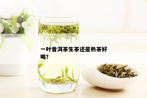 一叶普洱茶生茶还是熟茶好喝？