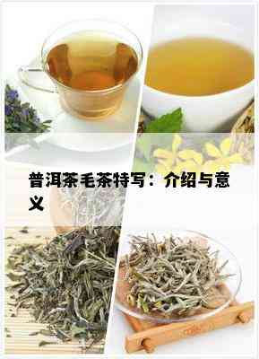 普洱茶毛茶特写：介绍与意义