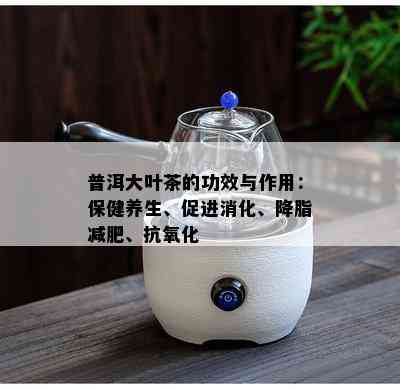 普洱大叶茶的功效与作用：保健养生、促进消化、降脂减肥、抗氧化