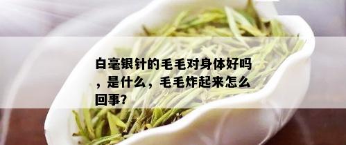 白毫银针的毛毛对身体好吗，是什么，毛毛炸起来怎么回事？