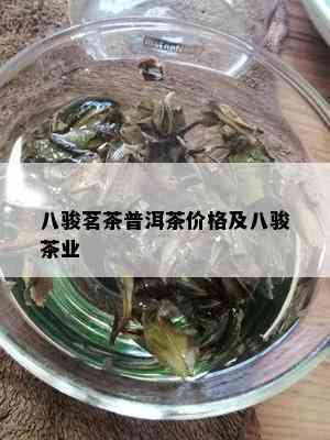 八骏茗茶普洱茶价格及八骏茶业