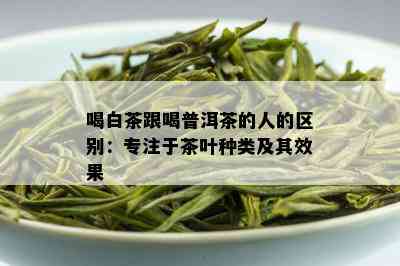 喝白茶跟喝普洱茶的人的区别：专注于茶叶种类及其效果