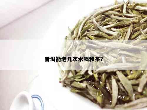 普洱能泡几次水喝和茶？