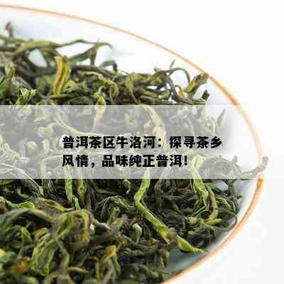 普洱茶区牛洛河：探寻茶乡风情，品味纯正普洱！