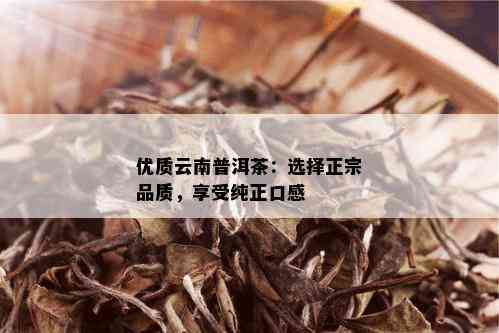 优质云南普洱茶：选择正宗品质，享受纯正口感