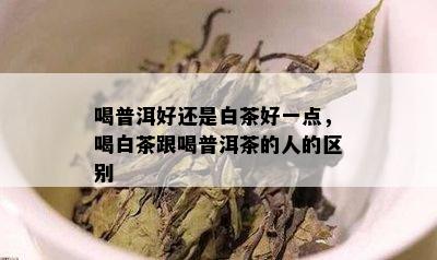 喝普洱好还是白茶好一点，喝白茶跟喝普洱茶的人的区别