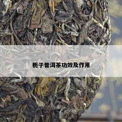 栀子普洱茶功效及作用