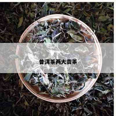 普洱茶两大贡茶