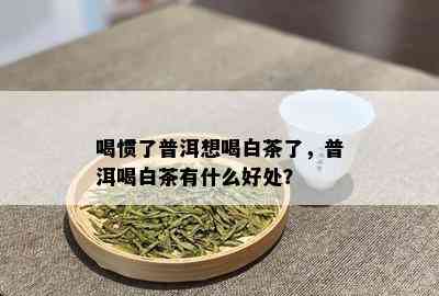 喝惯了普洱想喝白茶了，普洱喝白茶有什么好处？