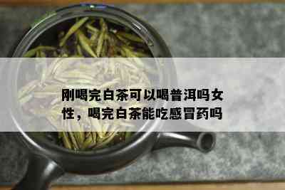 刚喝完白茶可以喝普洱吗女性，喝完白茶能吃感冒药吗