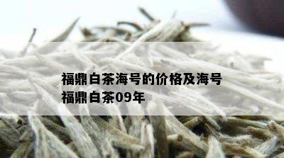 福鼎白茶海号的价格及海号福鼎白茶09年