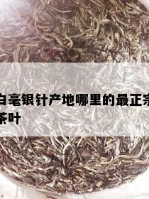 白毫银针产地哪里的最正宗茶叶