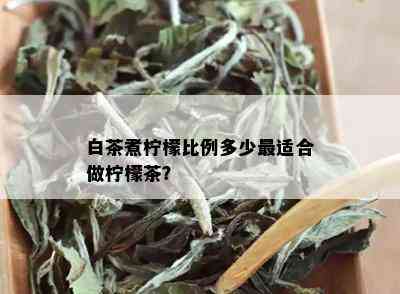 白茶煮柠檬比例多少最适合做柠檬茶？