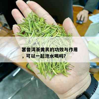 葚普洱茶黄芪的功效与作用，可以一起泡水喝吗？