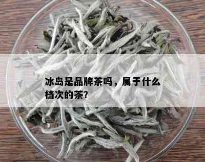 冰岛是品牌茶吗，属于什么档次的茶？