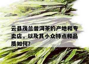 云县茂兰普洱茶的产地和专卖店，以及其小众特点和品质如何？