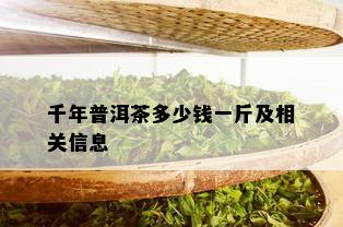 千年普洱茶多少钱一斤及相关信息