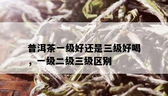 普洱茶一级好还是三级好喝，一级二级三级区别