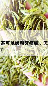 白茶可以缓解牙痛嘛，怎么喝？