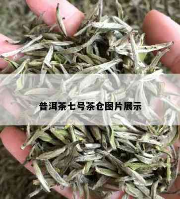 普洱茶七号茶仓图片展示