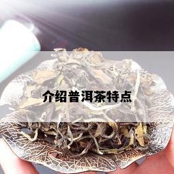 介绍普洱茶特点