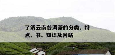 了解云南普洱茶的分类、特点、书、知识及网站