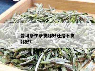 普洱茶生茶发酵好还是不发酵好？