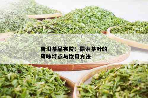 普洱茶品尝阶：探索茶叶的风味特点与饮用方法