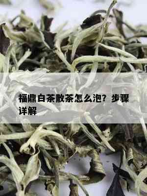 福鼎白茶散茶怎么泡？步骤详解