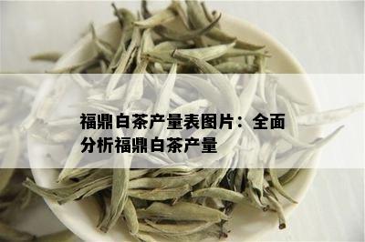 福鼎白茶产量表图片：全面分析福鼎白茶产量