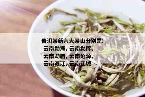 普洱茶新六大茶山分别是: 云南勐海, 云南勐库, 云南勐腊, 云南沧源, 云南双江, 云南江城